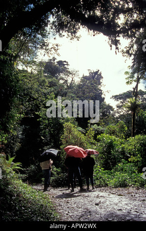 La mattina presto birdwatcher in Monteverde Cloud Forest Riserve Costa Rica Foto Stock