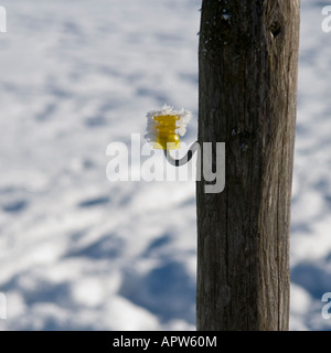 Primo piano della recinzione pole nel paesaggio invernale, tra Altstaedten e Fischen Oberallgaeu Baviera Germania Foto Stock