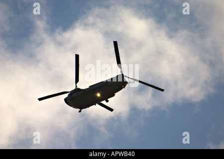 CH 47D militare elicottero Chinook Foto Stock