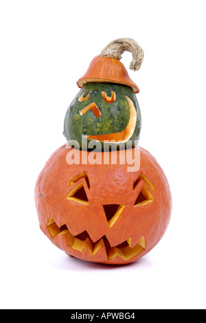 Midollo, zucca da campo, zucca ornamentale, zucca di Halloween (Cucurbita maxima 'Hokkaido' und Cucurbita pepo convar. Microcarpina Foto Stock