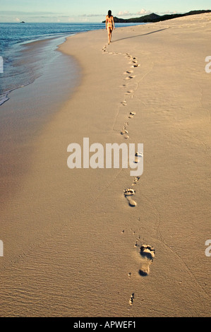 Orme di gente camminare sulla spiaggia Modello rilasciato Seychelles Cousine Island Foto Stock