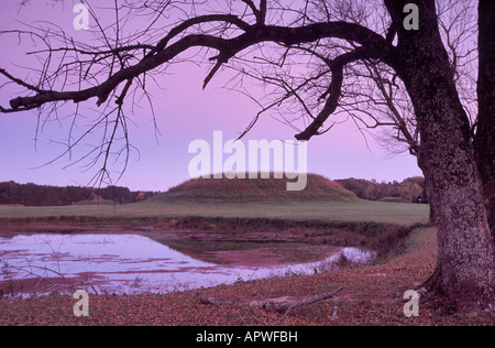 Indian tumuli al Moundville Parco Archeologico alba Alabama USA Foto Stock