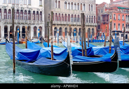 VENEZIA, Italia - gondole ormeggiate lungo un canale, ricoperte di teloni protettivi blu. Le iconiche barche veneziane riposano fianco a fianco, le loro caratteristiche prua di ferro visibili sotto le coperture, con edifici storici che costeggiano il corso d'acqua sullo sfondo. Foto Stock