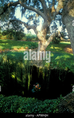 Devils Den è crollato il tetto della caverna sotterranea della molla all'interno della caverna asciutta della Florida centrale sport scuba diving sport attività ricreative all'aperto Foto Stock