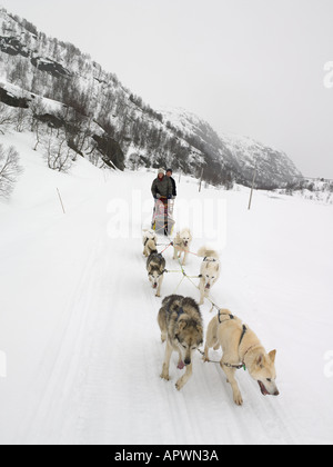 Famiglia su una slitta trainata da cani Foto Stock