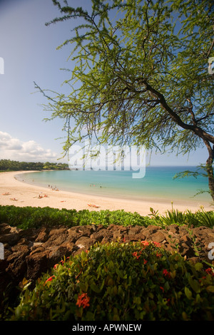 Costa di Kohala, Hawaii, affacciato sul Mauna Kea Beach in Kauna'oa Bay Foto Stock