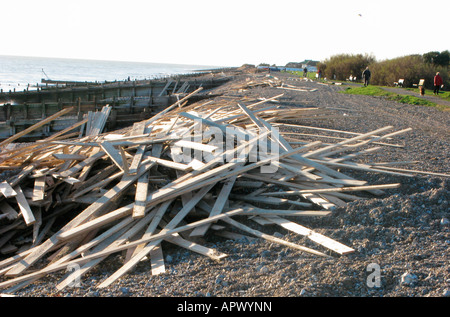 Il legname si è incagliata sulla costa Sud a Goring dal mare ad ovest di Worthing West Sussex dal coniata nave da carico il principe di ghiaccio Foto Stock