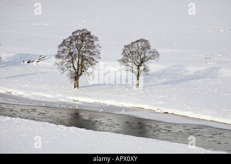 Inverno scozzese riverside paesaggio glen remoto in Braemar, Scotland, Regno Unito Foto Stock