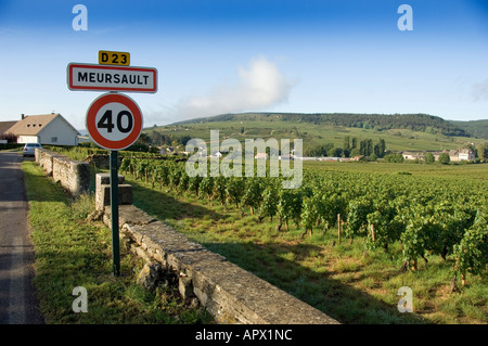 Segno di ingresso a Meursault village sulla D23 con vigna murata, Borgogna, Francia Foto Stock