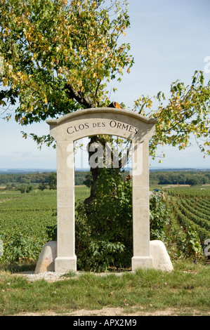 Clos des Ormes premier cru Vigna segno e recedono albero a Morey St Denis, Borgogna, Francia Foto Stock