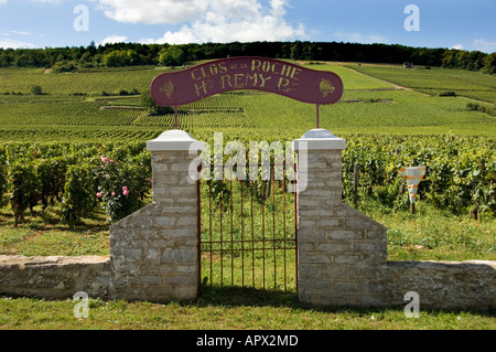 Clos de la Roche vigna ingresso gateway e segno, Borgogna, Francia Foto Stock