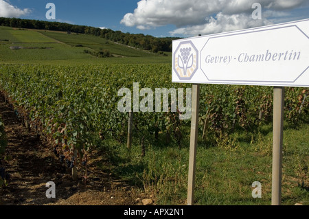 Gevrey Chambertin segno del vigneto a sud del villaggio sulla route des grands crus, Borgogna, Francia Foto Stock