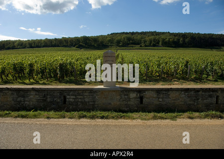 Domaine Rossignol Trapet premier cru Vigna segno a sud di Gevrey Chambertin villaggio sulla D122, Borgogna, Francia Foto Stock