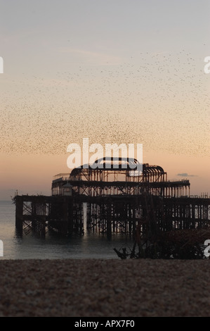 Molo Ovest di Brighton, di fronte al fuoco Foto Stock