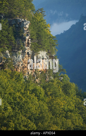 Vista della scogliera in Cloudland Canyon State Park Georgia Foto Stock