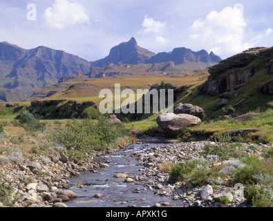 Drakensberg ruscello di montagna Foto Stock