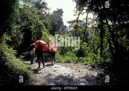 La mattina presto birdwatcher con ombrelloni in Monteverde Cloud Forest Riserve, Costa Rica Foto Stock