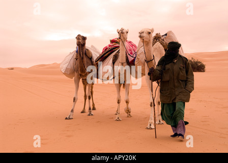 Un solitario uomo Tuareg attraversando il Sahara libico vicino a Ubari su un ottuso nuvoloso giorno con i suoi cammelli, Ubari, Libia, Nord Africa. Foto Stock