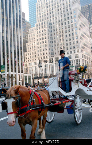 Carrozze trainate da cavalli fuori Plaza Hotel prendendo i visitatori in tour intorno a Central Park e metà Manhattan New York City. Foto Stock