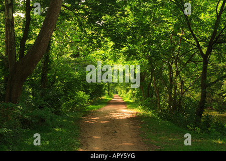 Percorso di traino, C E O Canal National Historic Park, Seneca, Maryland, Stati Uniti d'America Foto Stock