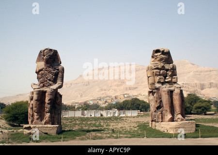 Colosso di Memnon [necropoli tebana, nei pressi di Luxor, Egitto, Stati arabi, Africa] . Foto Stock