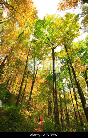 Escursionista sulla scogliera Raven Falls Trail, Cesari capo del Parco Statale di Cleveland, South Carolina, STATI UNITI D'AMERICA Foto Stock