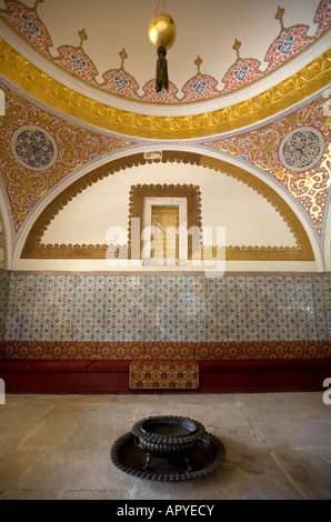 Il Consiglio Imperiale Sala nel palazzo di Topkapi Palace Museum Istanbul Turchia Foto Stock