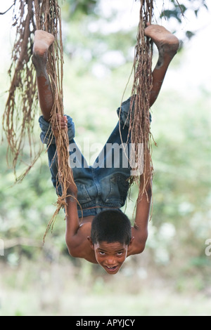 Ragazzo indiano oscillare dall'antenna radici di un banyan tree in campagna. Andhra Pradesh, India Foto Stock