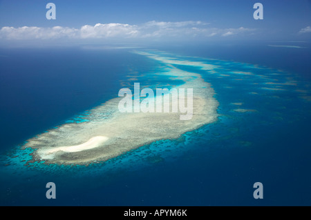 Undine Reef Great Barrier Reef Marine Park North Queensland Australia antenna Foto Stock