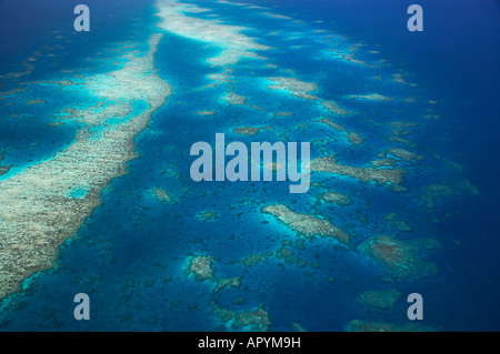 Undine Reef Great Barrier Reef Marine Park North Queensland Australia antenna Foto Stock