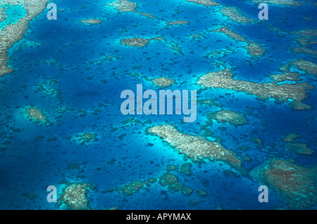 Undine Reef Great Barrier Reef Marine Park North Queensland Australia antenna Foto Stock