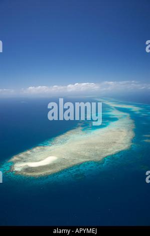 Undine Reef Great Barrier Reef Marine Park North Queensland Australia antenna Foto Stock