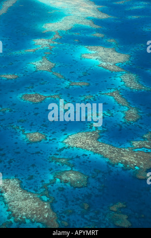 Undine Reef Great Barrier Reef Marine Park North Queensland Australia antenna Foto Stock