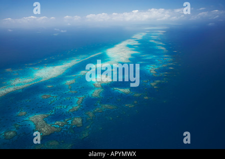 Undine Reef Great Barrier Reef Marine Park North Queensland Australia antenna Foto Stock