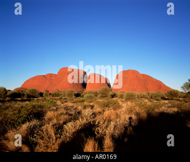 Kata Tjuta l'Olgas nella luce della sera Territorio del Nord Australia Foto Stock