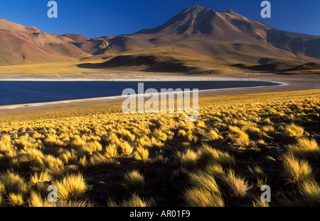 Laguna Miscanti Cerro Miniques Ande Nord del Cile Foto Stock