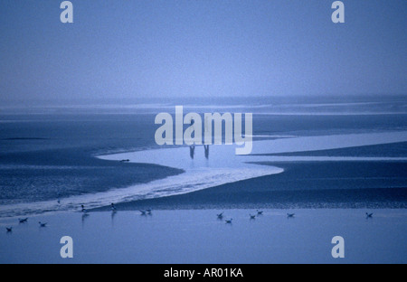 Due uomo a camminare sulla spiaggia in una fitta nebbia a zig zag Foto Stock
