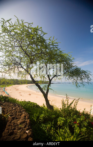 Costa di Kohala, Hawaii, affacciato sul Mauna Kea Beach in Kauna'oa Bay Foto Stock