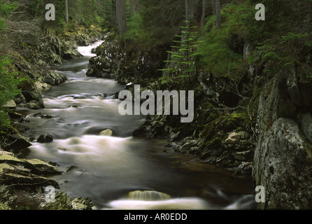 Scozia Highlands scozzesi Cainrgorm PARCO NAZIONALE IL che scorre veloce cascate del fiume pattack e bosco circostante Foto Stock