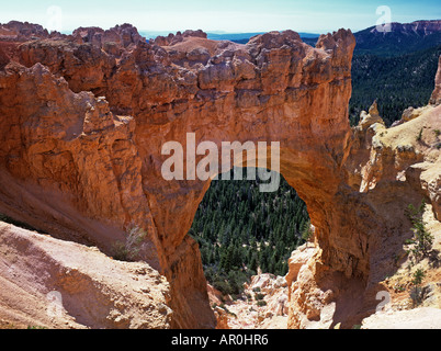 Il ponte naturale, Bryce Canyon dello Utah, Stati Uniti d'America Foto Stock