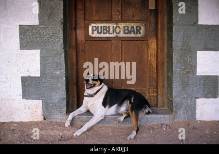 Cane a Birdsville Pub porta, Queensland, Australia Foto Stock