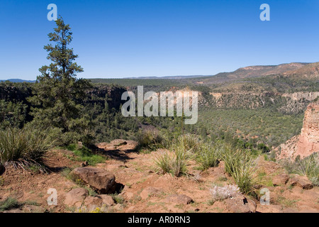 Apache Sitgreaves National Forest, Apache Indian Reservation, White Mountain, Arizona / New Mexico, NEGLI STATI UNITI Foto Stock