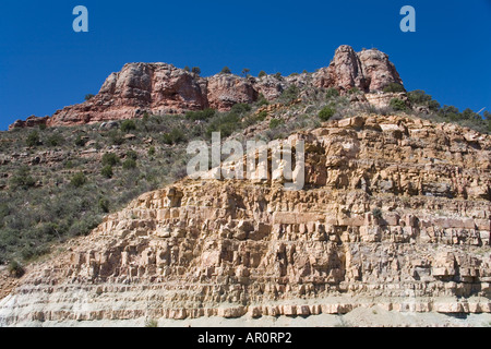 Apache Sitgreaves National Forest, Apache Indian Reservation, White Mountain, Arizona / New Mexico, NEGLI STATI UNITI Foto Stock