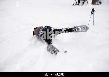 Un snowshoer cade nella neve nel bacino del Commonwealth, Snoqualmie Pass, Washington. Foto Stock