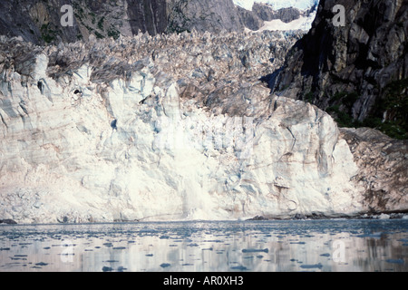 Northwestern glacier off il Harding Campo di Ghiaccio Il Parco nazionale di Kenai Fjords centromeridionale Alaska Foto Stock