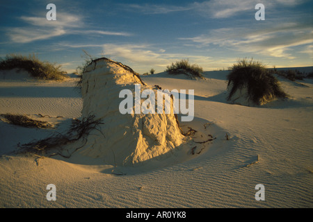 Il paesaggio del deserto di sunrise White Sands National Monument New Mexico Foto Stock