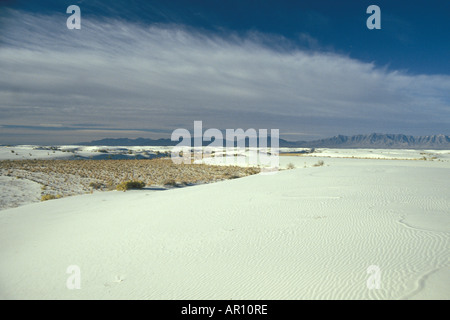 Il paesaggio del deserto in White Sands National Monument New Mexico Foto Stock