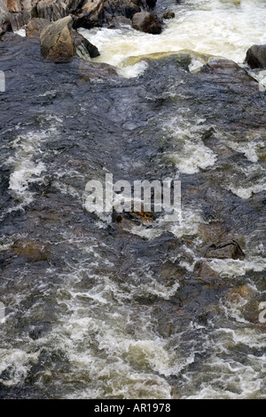 Dh fiume texture acqua di fiume di montagna Dee fresco veloce che scorre acqua fresca Braemar Aberdeenshire Foto Stock