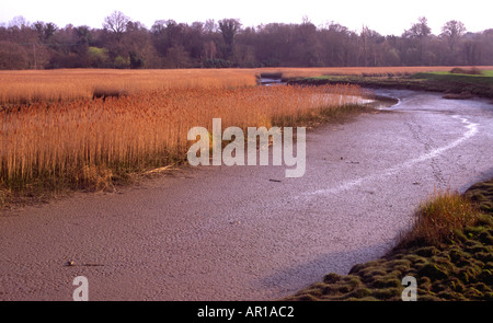 Fiume Deben a bassa marea Woodbridge Suffolk Foto Stock