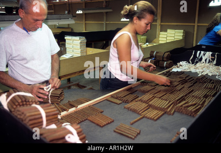 Caraibi Cuba havana la fabbrica di partagas camera con gente locale sigari di smistamento Foto Stock